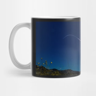 GT 236 GM-1 Silver Fox 2 Mug